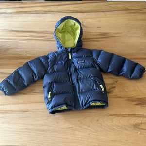 Patagonia toddler hi loft down jacket